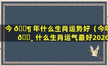 今 🐶 年什么生肖运势好（今年 🕸 什么生肖运气最好2020）